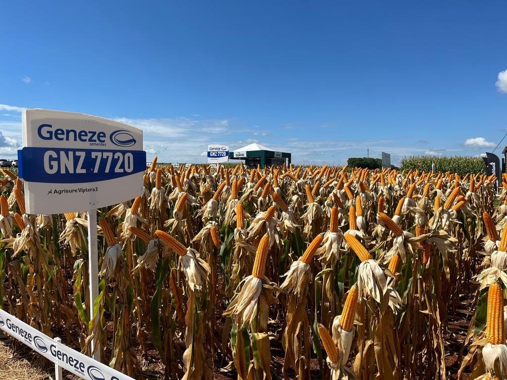 noticia-safratec-2024-geneze-sementes